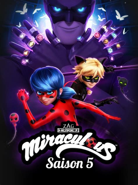 miraculous stagione 5 netflix|Miraculous: Tales of Ladybug and Cat Noir Season 5。